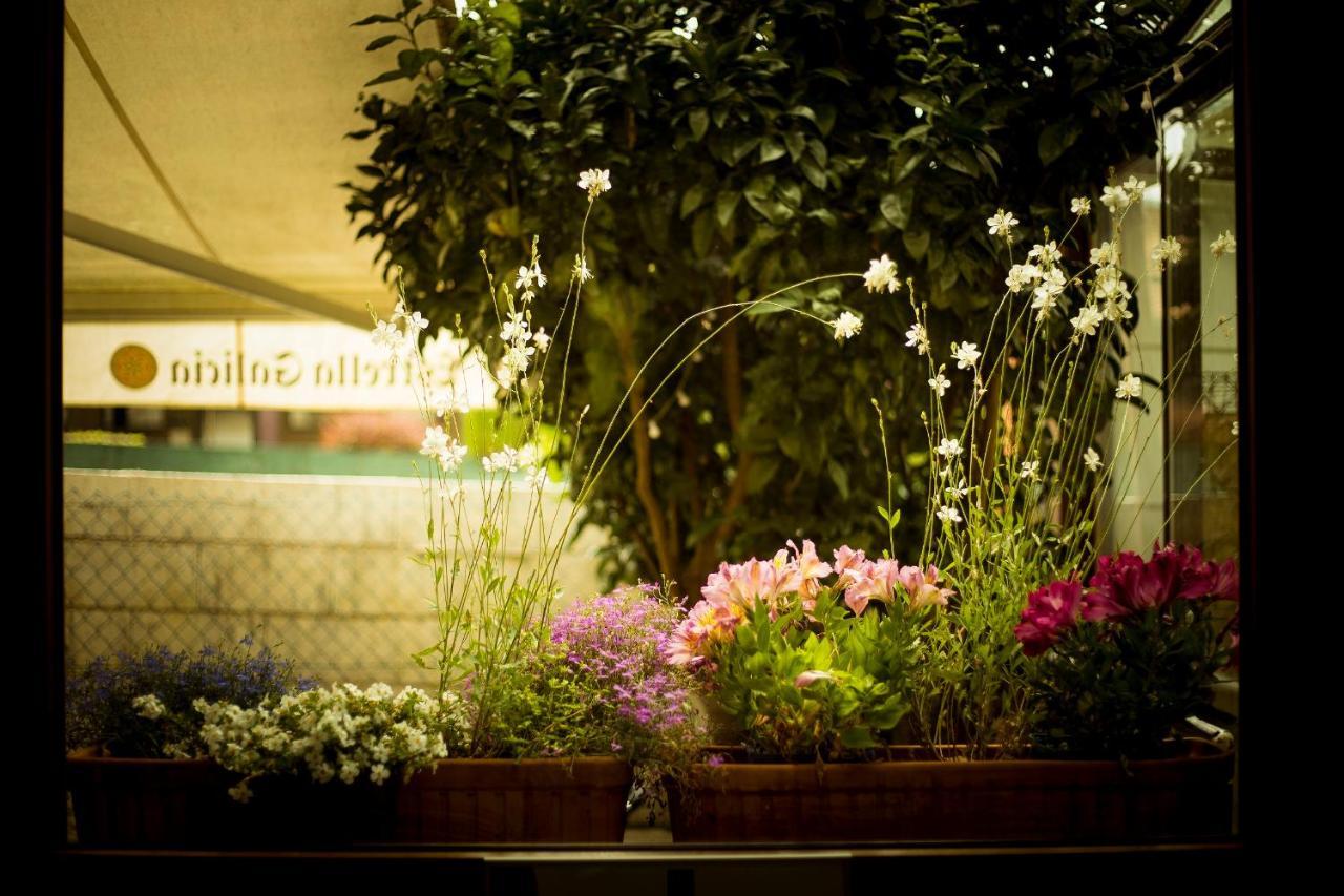 Hotel Arce بايونا المظهر الخارجي الصورة